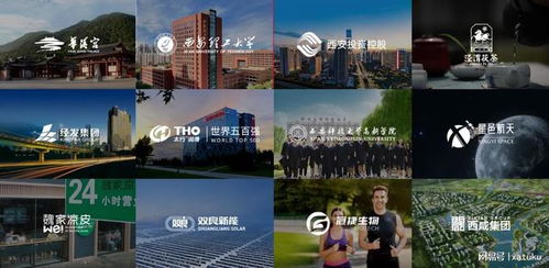 西安定制類網站有哪些優勢和特點