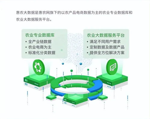 惠農網 數字化產業服務十年助農路，從追趕到超越的數字內容賦能之旅