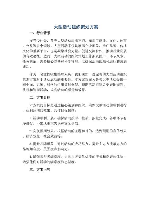 大型活動組織策劃方案.docx